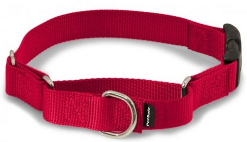 PetSafe Premier Martingale Red Quick Snap Pet Collar