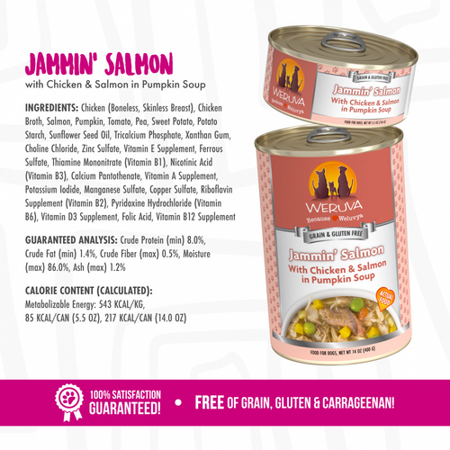 Weruva Jammin Salmon with Chicken & Salmon in Pumpkin Soup Canned Dog Food