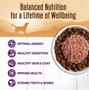 Wellness Natural Grain Free 95% Chicken Recipe Adult Wet Canned Dog Food