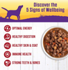 Wellness Grain Free Natural Beef Stew with Carrots & Potato Wet Canned Dog Food