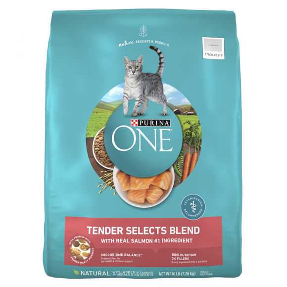 Purina ONE Tender Selects Blend Real Salmon Dry Cat Food