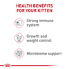 Royal Canin Spayed or Neutered Dry Kitten Food