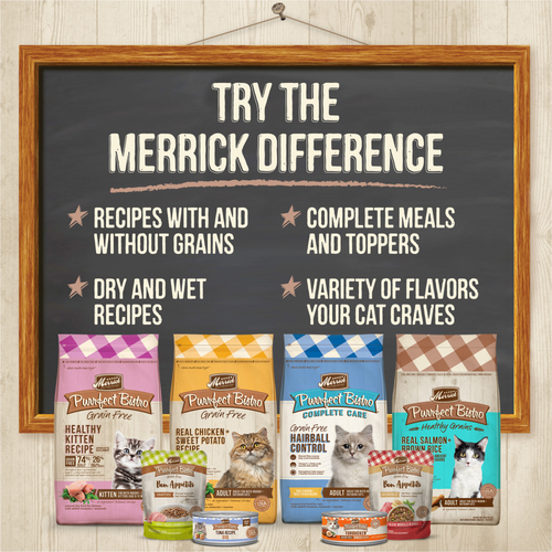 Merrick Purrfect Bistro Grain Free Premium Soft Canned Pate Adult Wet Cat Food, High Protein Beef Recipe