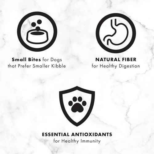 Nutro Wholesome Essentials Small Bites Adult Pasture-Fed Lamb & Rice Dry Dog Food