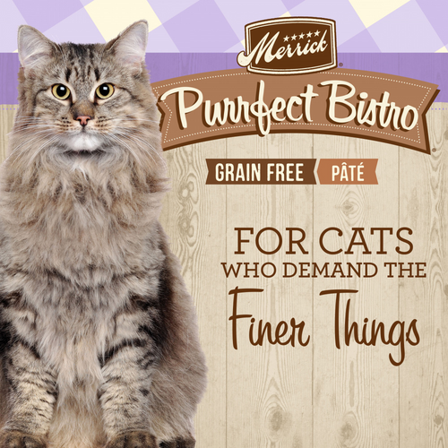 Merrick Purrfect Bistro Grain Free Rabbit Pate Canned Cat Food