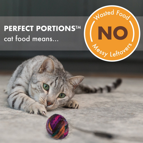 Nutro Perfect Portions Grain-Free Salmon & Tuna Recipe Cat Food Trays