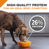 Purina Pro Plan Shredded Blend Beef & Rice Formula Adult Dry Dog Food