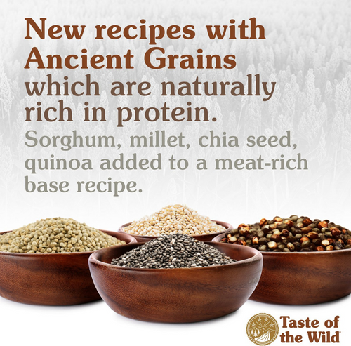 Taste of the Wild Ancient Wetlands with Ancient Grains Dry Dog Food