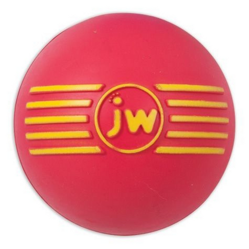 JW Pet iSqueak Ball Dog Toy