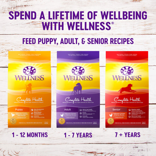 Wellness Complete Health Natural Small Breed Adult Turkey and Oatmeal Recipe Dry Dog Food