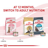 Royal Canin Spayed or Neutered Dry Kitten Food
