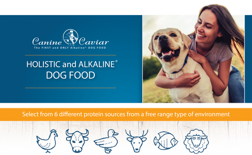 Canine Caviar Wild Ocean Holistic Grain Free Entree Dry Dog Food